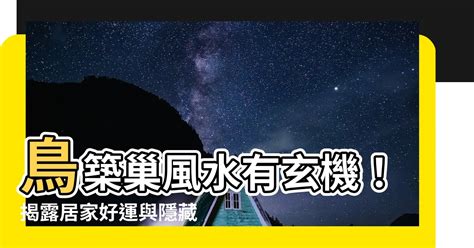 鳥築巢風水|鳥巢風水：居家好運密碼